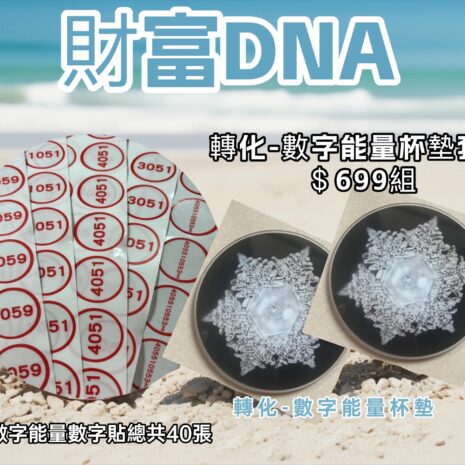 財富DNA能量數字杯墊組 財富DNA能量數字杯墊組